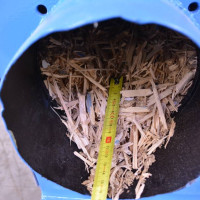 6271 -RĘBAK GROSS/ACKERMANN