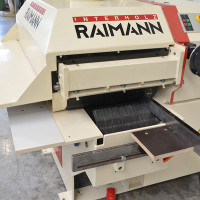 5411 - WIELOPIŁA RAIMANN KM310