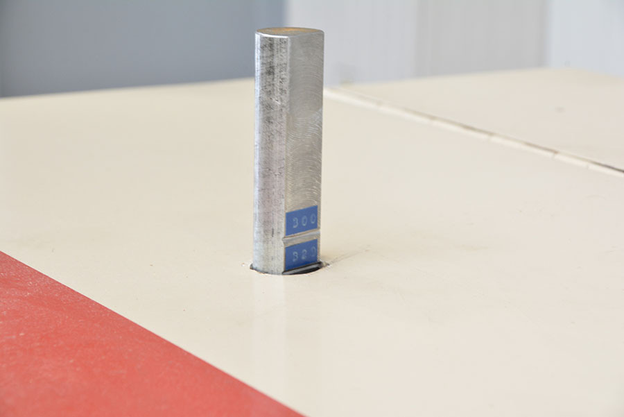 5411 - WIELOPIŁA RAIMANN KM310